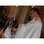 DSCN0646.JPG